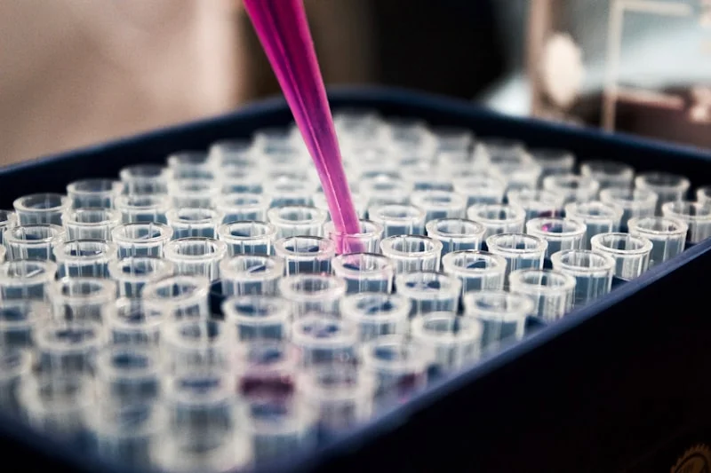 Understanding Research Peptides: A Complete Guide for 2026