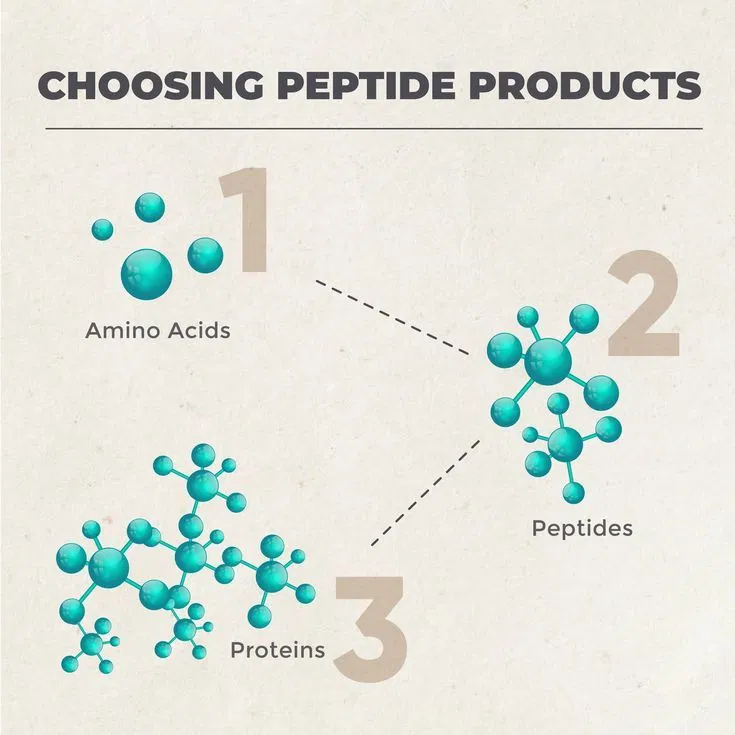 polygon peptides amino acids peptides proteins diagram