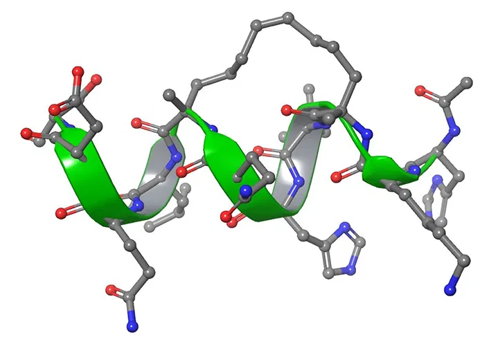 polygon peptides peptide chain 3d molecular structure
