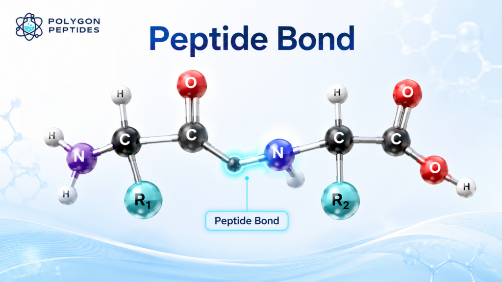6 Buyer Checks for Best Research Peptides UK types of peptides for skin